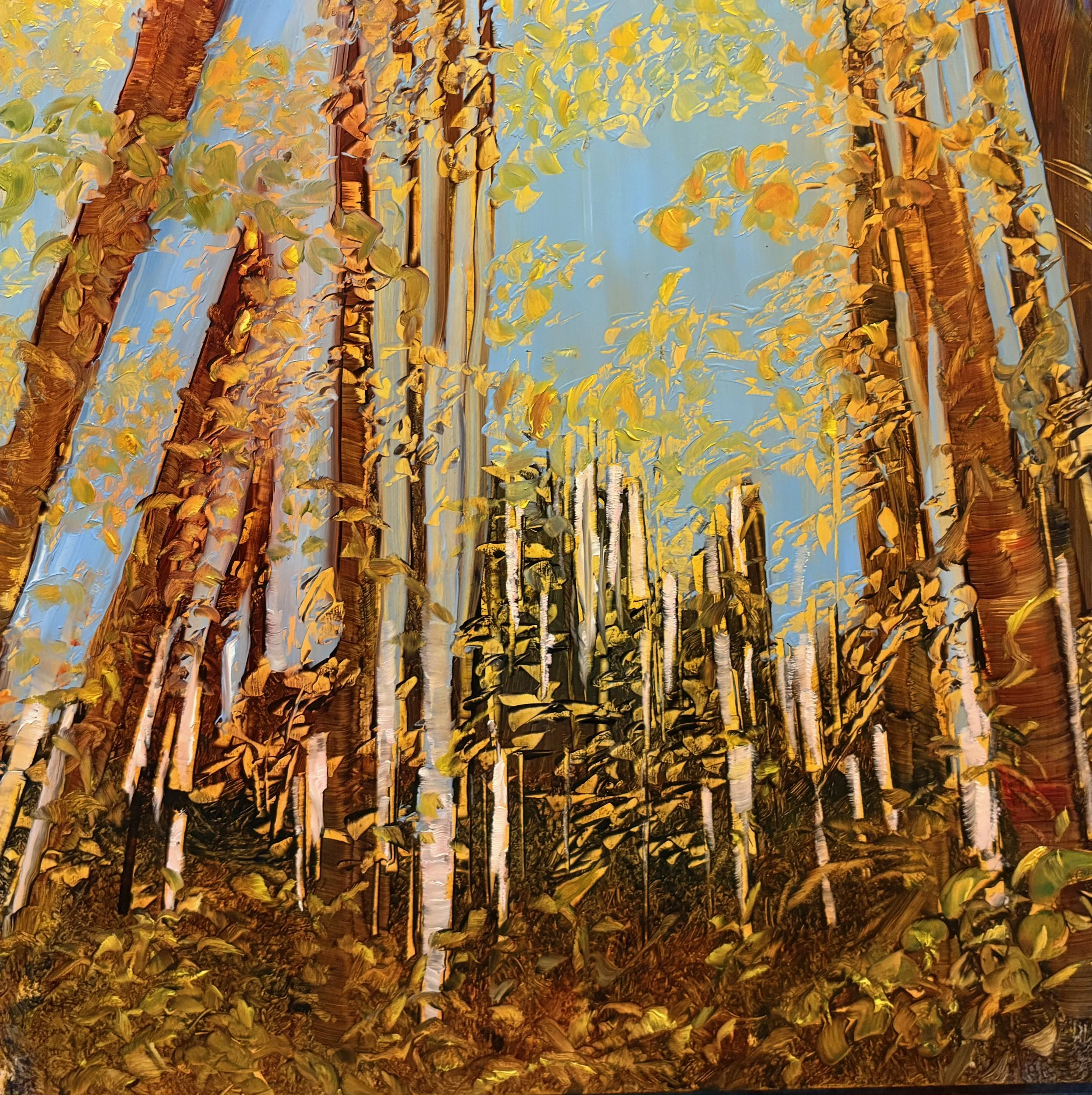 Looking Up, 12 x 12 Oil and Acrylic on Enameled Aluminum (Available)