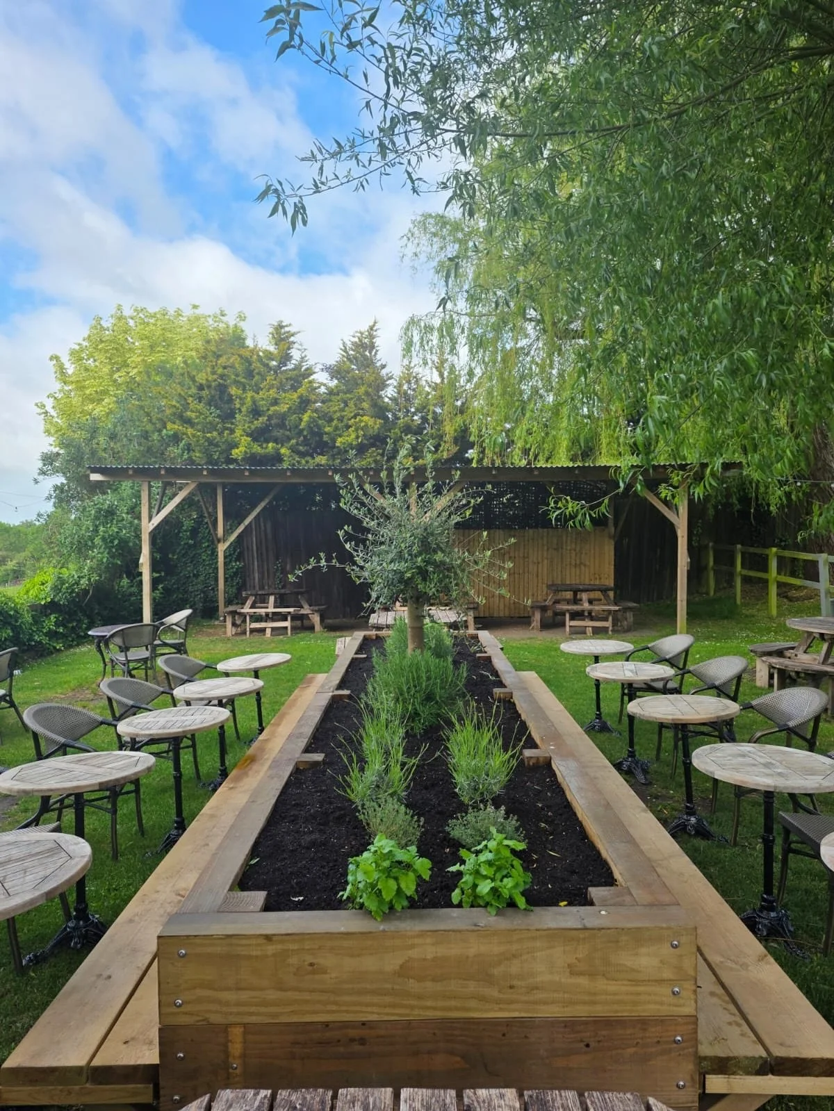 3hs garden 1.jpg