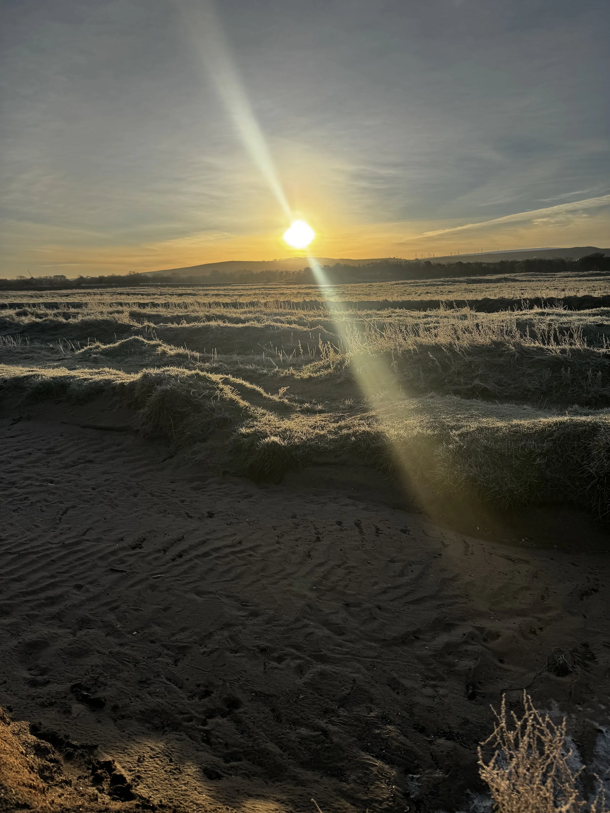 The Mind–Pelvis Connection: How Emotions, Trauma and Stress Affect Pelvic Floor Health