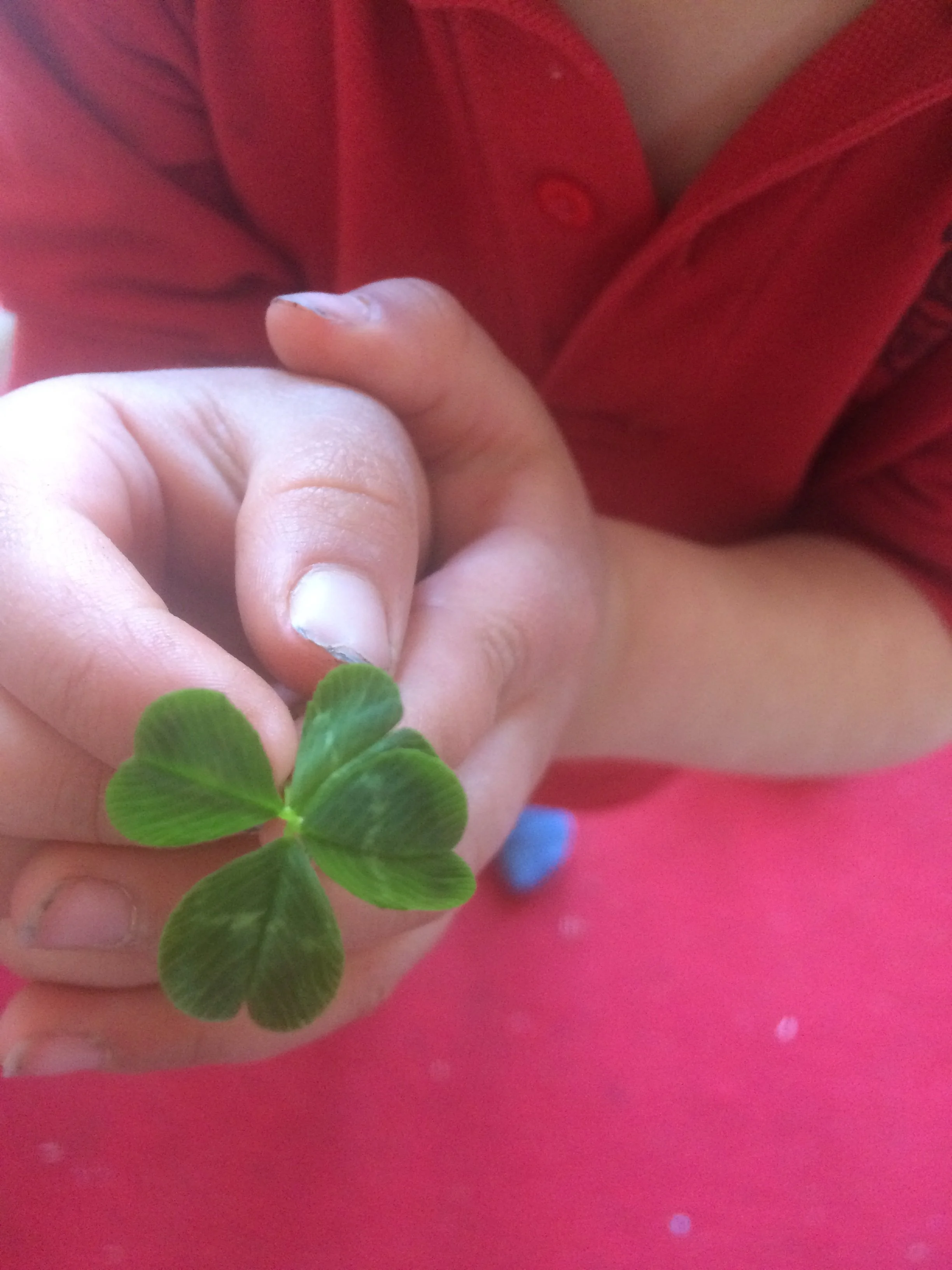 The Diaphragms in Your Hands: How Tension Affects Your Nervous System