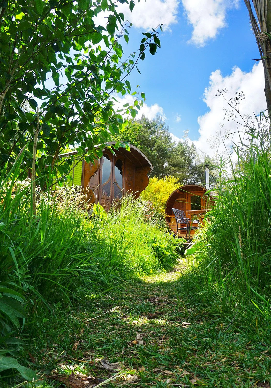 A lush garden path surrounded by tall grass and green trees leading to two small wooden cottages with curved roofs under a bright blue sky with white clouds.