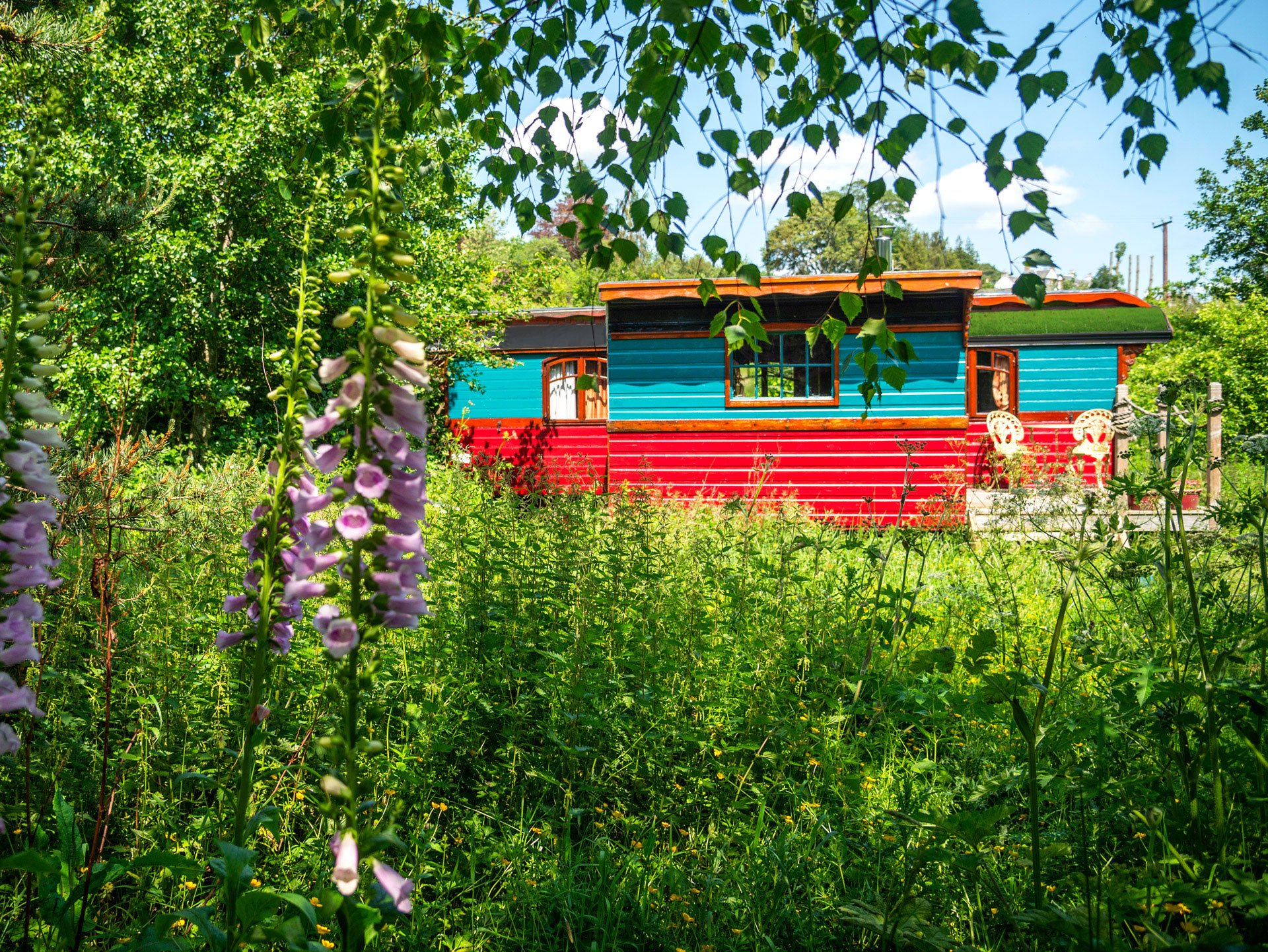 Colorful tiny house with blue and red siding, surrounded by greenery and wildflowers, with trees and a blue sky in the background.