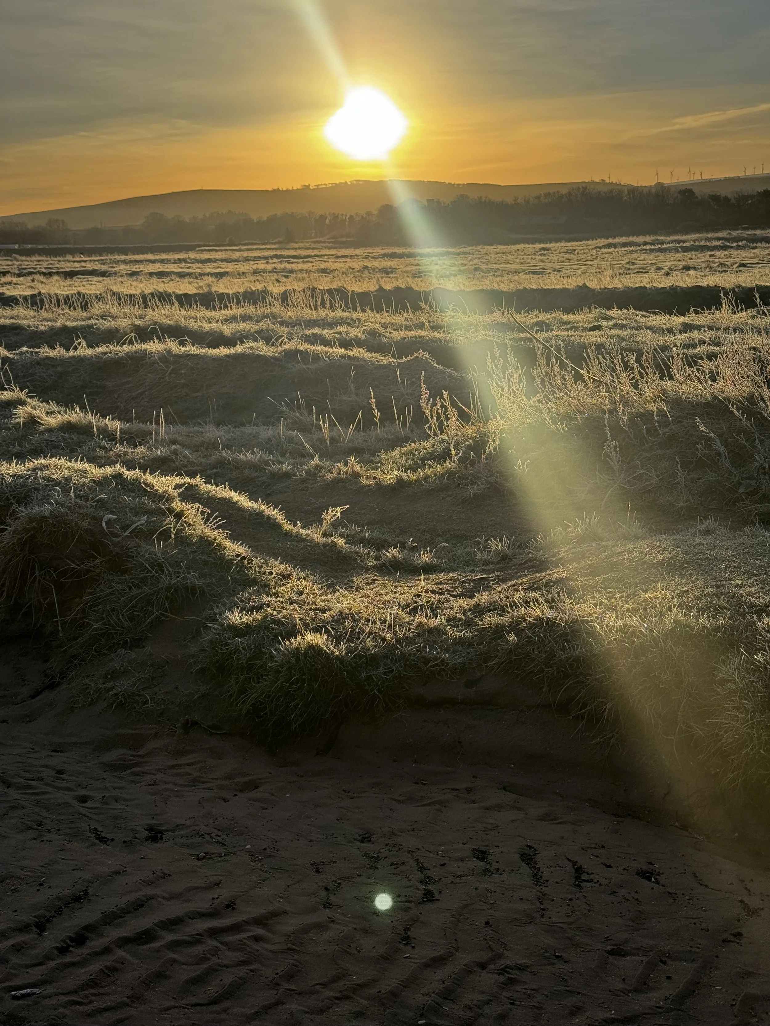 being in nature can create calm in your nervous system