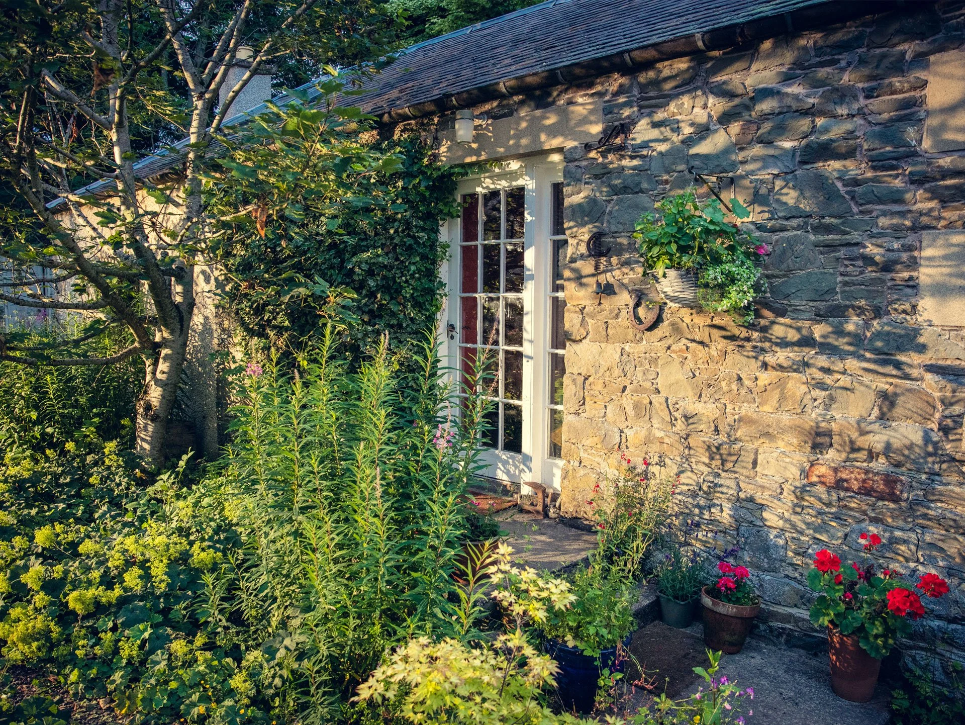 cottage close to the meadow and studio