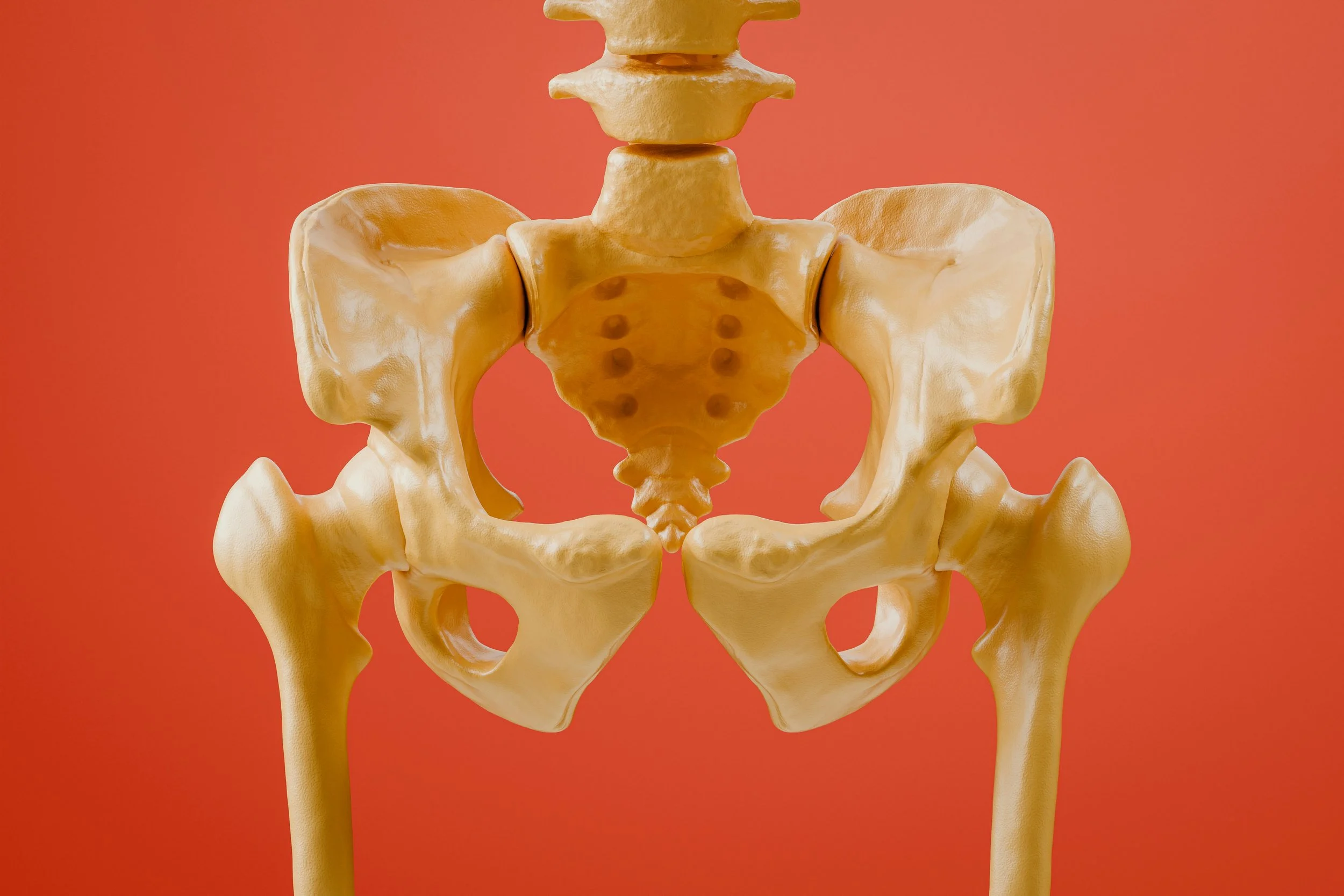 Imae of the bones of the pelvis with the coccyx at the centre