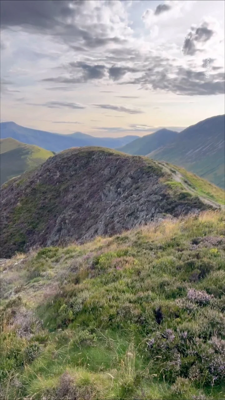 A fantastic evening hike up to Ard Crags and Knott Rigg after work with knock out views all around and over to Buttermere!
#buttermere #knottrigg #ardcrags #lakedistrict #lakedistrictkind
#nationalpark #lakedistricthikers
#igerscumbria #igerscumbr