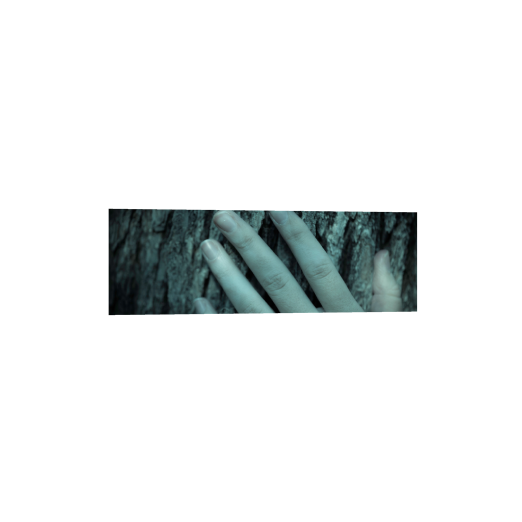 ptq_1_2_0_1004_6048_2016_0_false_ffffff_0_0_.png