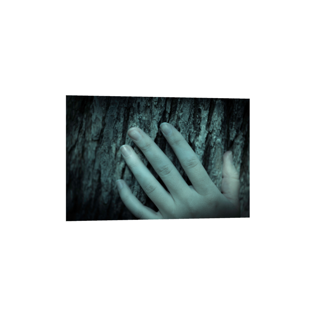 ptq_1_3_6_0_6036_4024_0_false_ffffff_0_0_.png