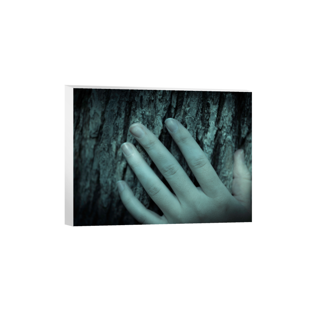 ptq_7_5_341_0_5365_4024_0_false_ffffff_0_0_.png