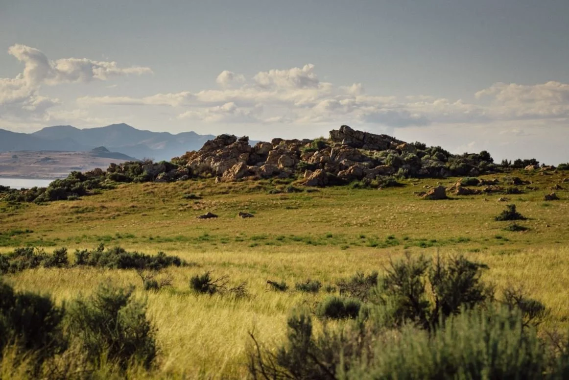 A scenic landscape featuring rolling grasslands with patches of low shrubs and a rocky hill formation in the background, under a partly cloudy sky.