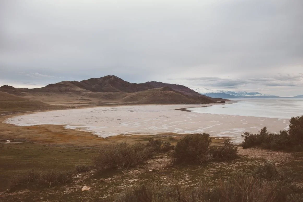 A landscape view of a lake or salt flat with mountains in the background, some bushes in the foreground, and cloudy sky overhead.