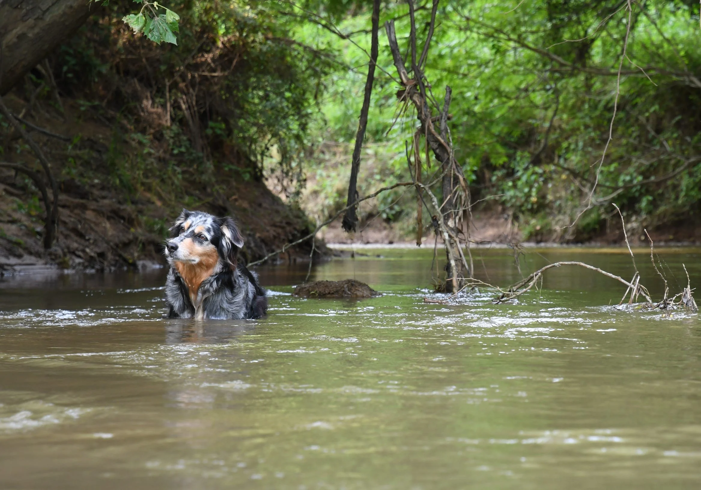 Homesteading: Part One