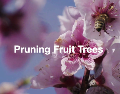 Screenshot 2026-03-05 at 1.49.20 PM.png