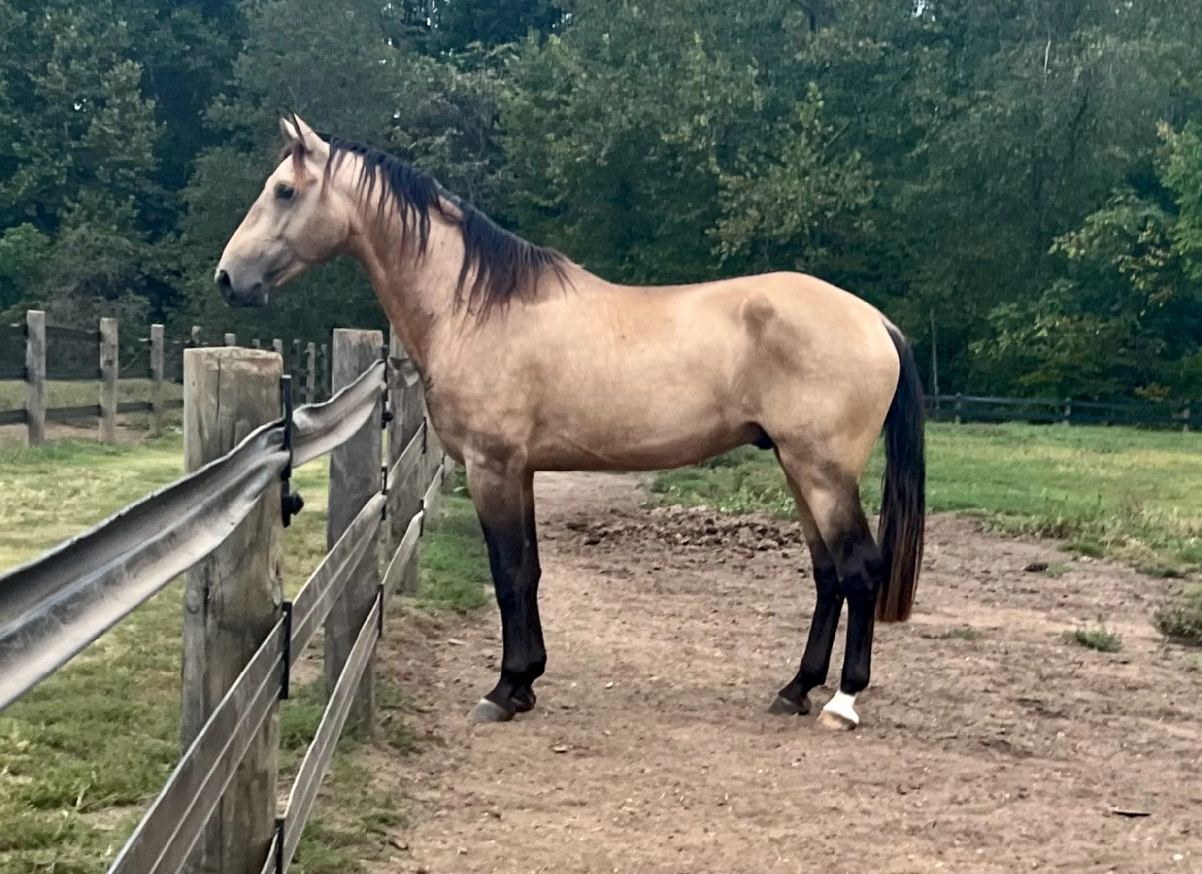 Injuries, Hard Labor, and a Road Trip! Oct. 2024