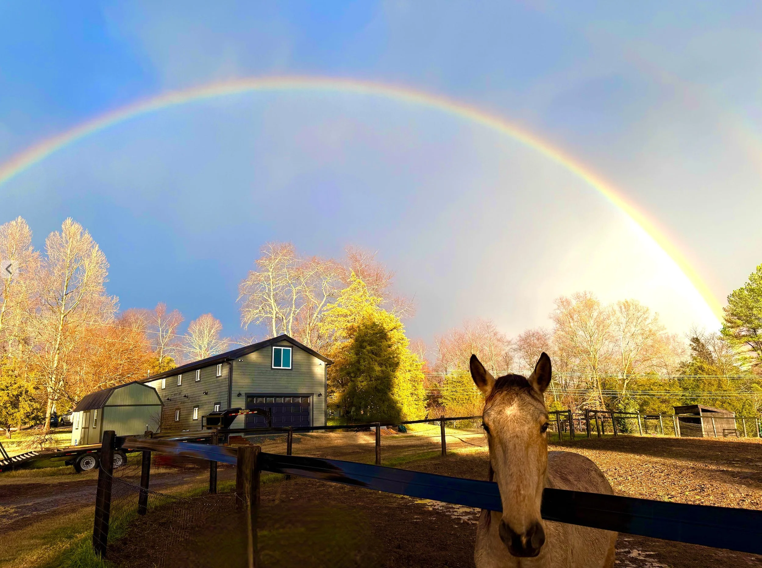 Homesteading 101: The Depths of Winter