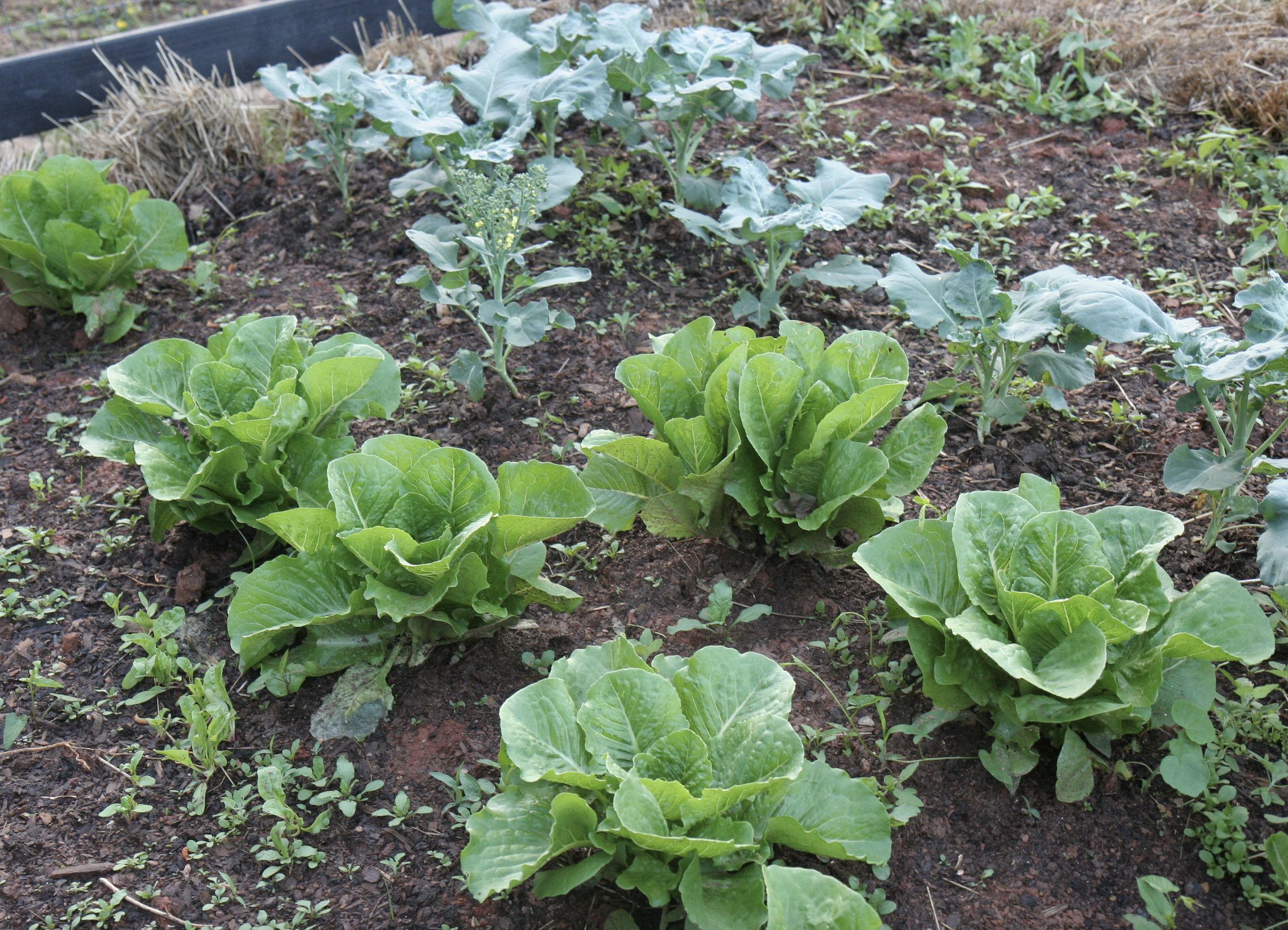 Screenshot 2024-12-18 at 2.23.53 PM.png