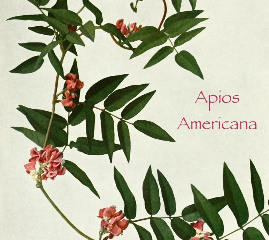 Homesteading: Gifts from West Virginia