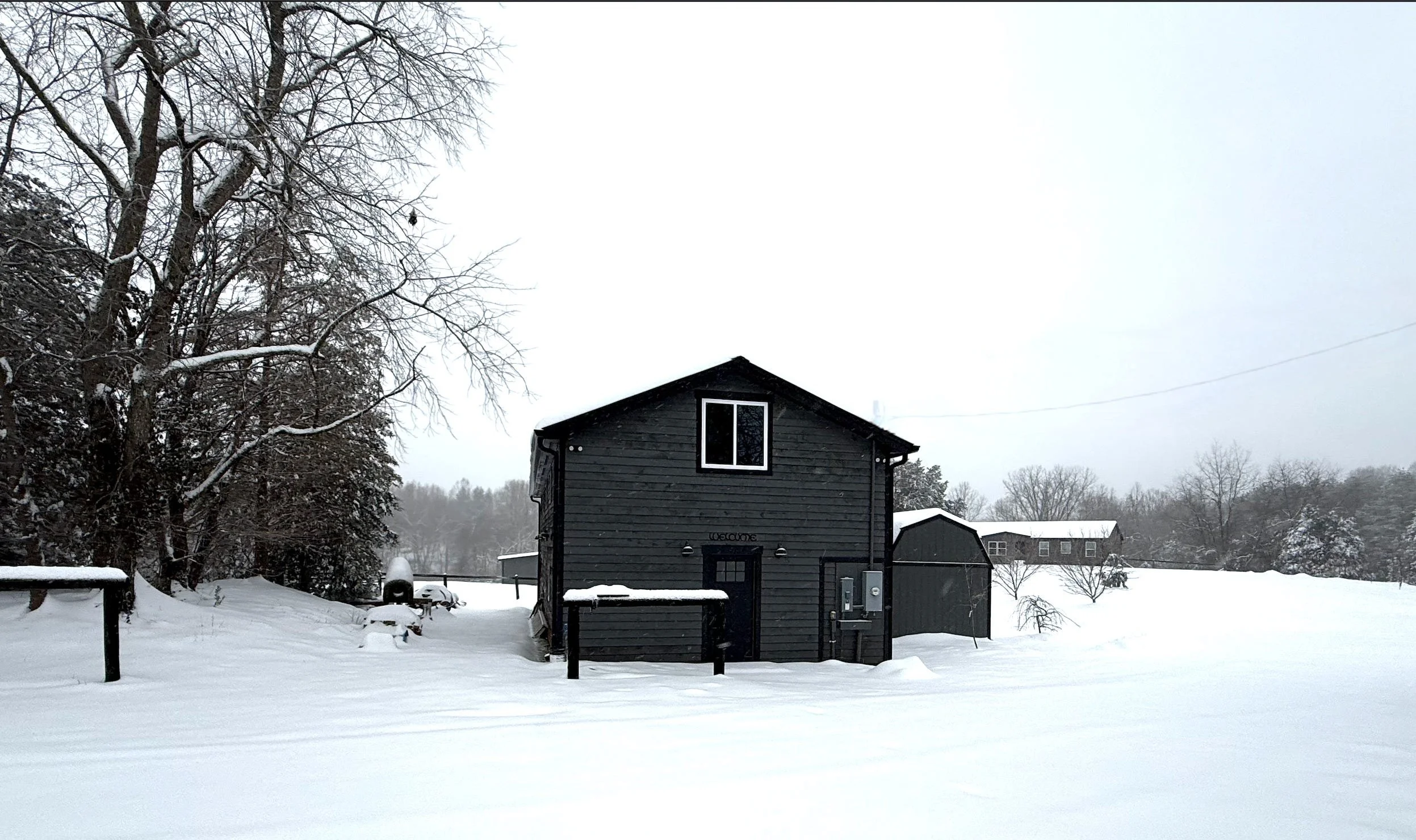 Homesteading 101: The Bee's Knees