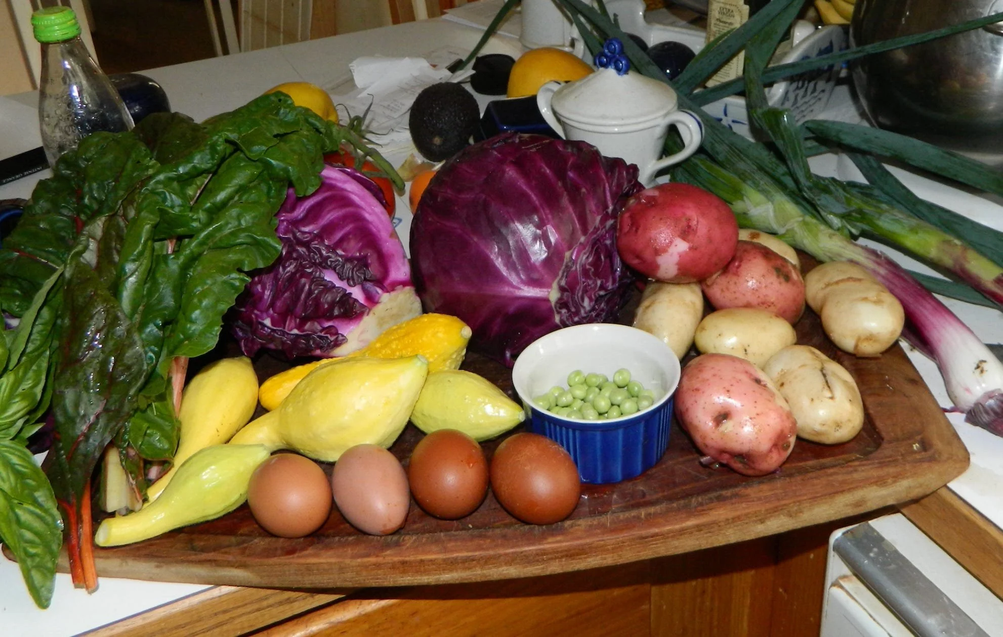 Homesteading: The Regenerative Farming Paradox