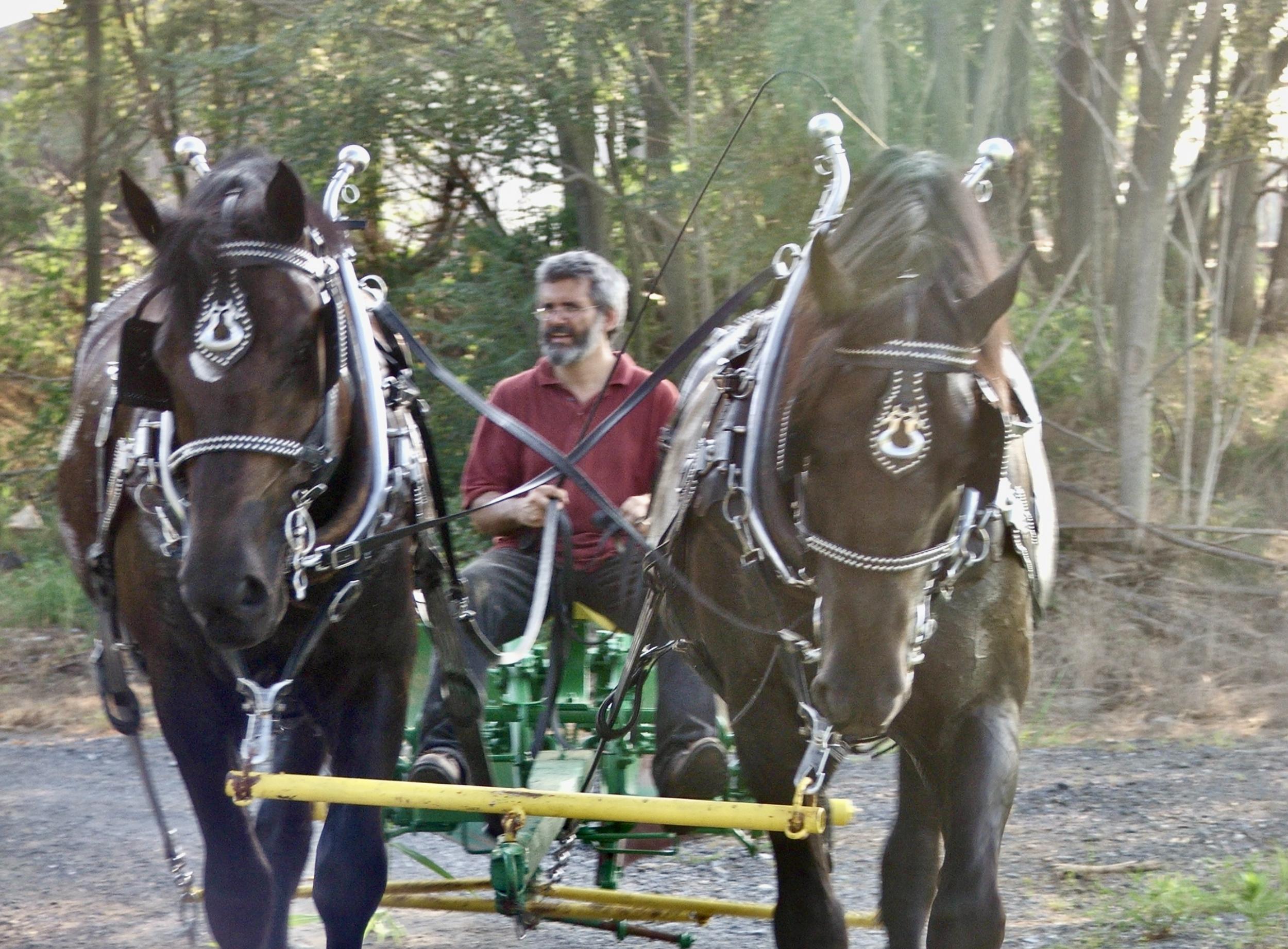 Screenshot 2024-12-18 at 2.11.28 PM.png