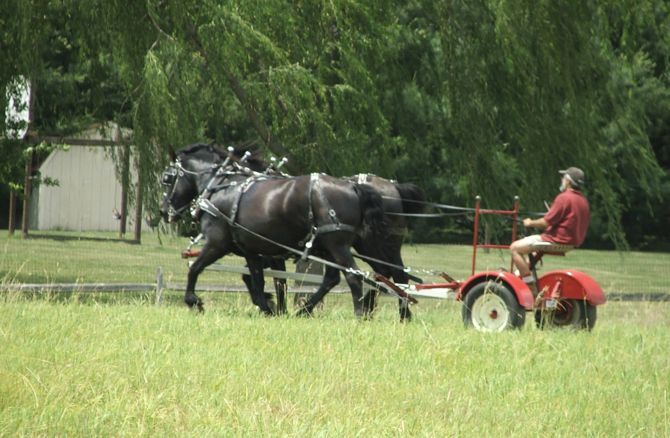 Screenshot 2024-12-18 at 2.08.12 PM.png