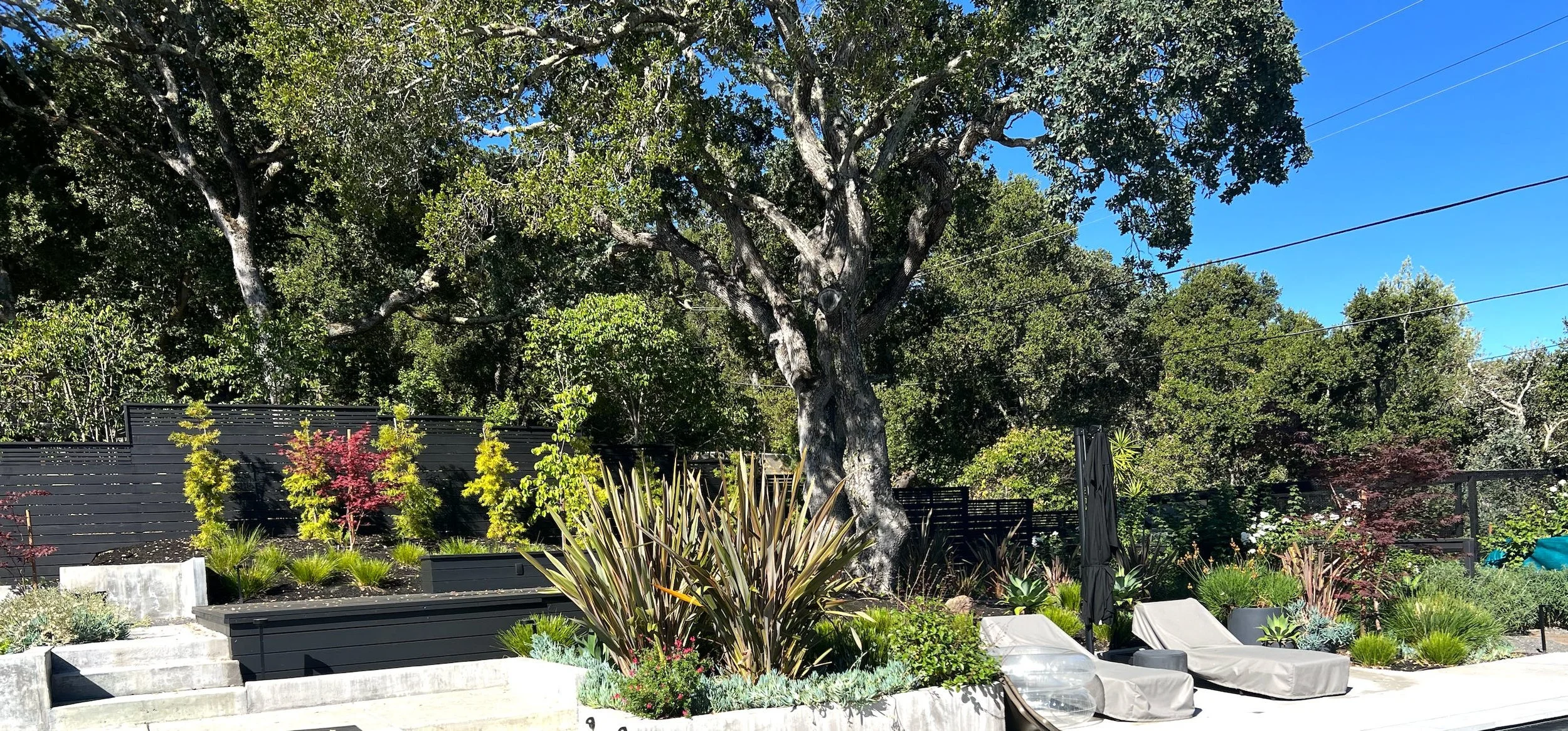 Homesteading and California Dreaming