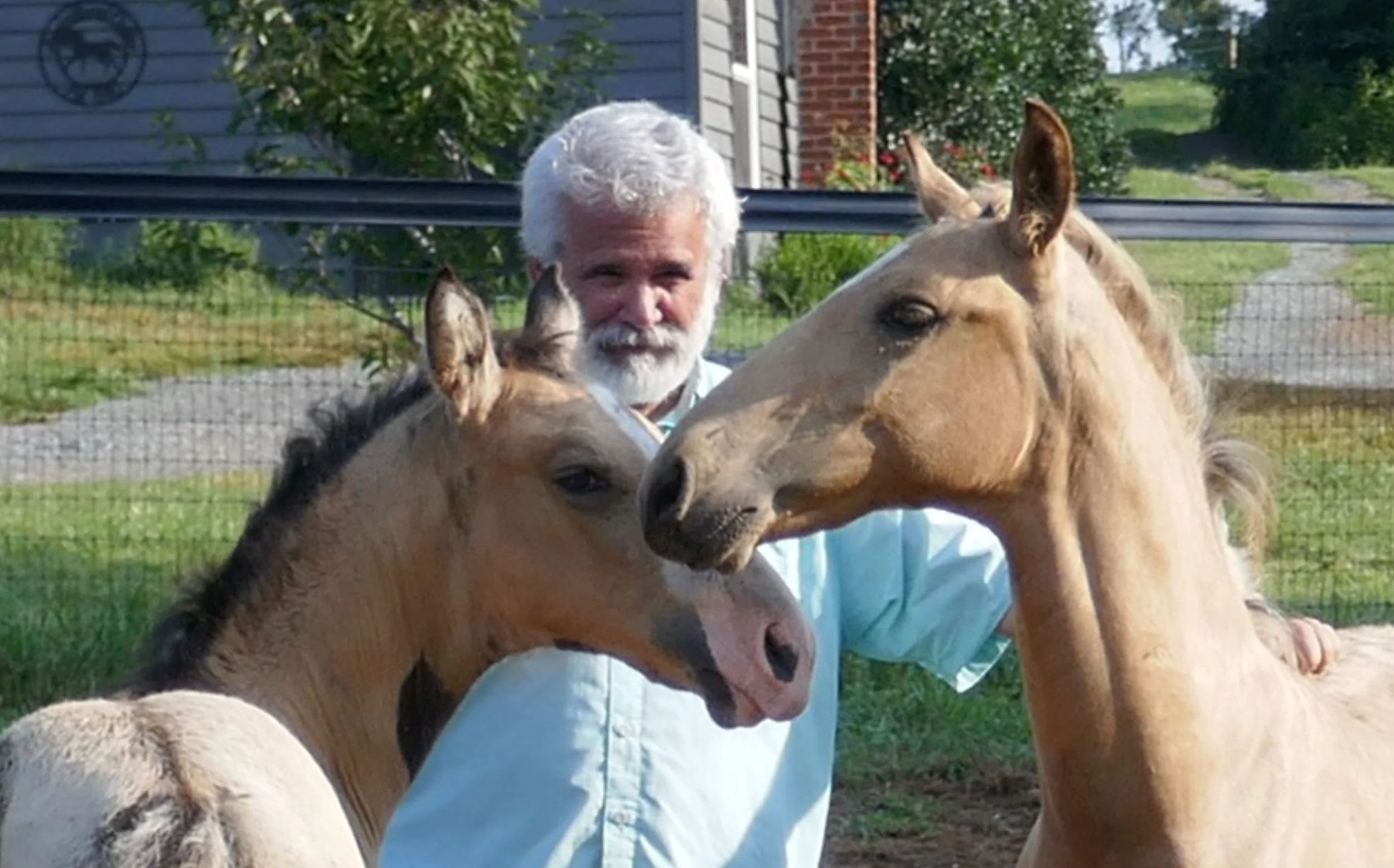 Homesteading: Our Start