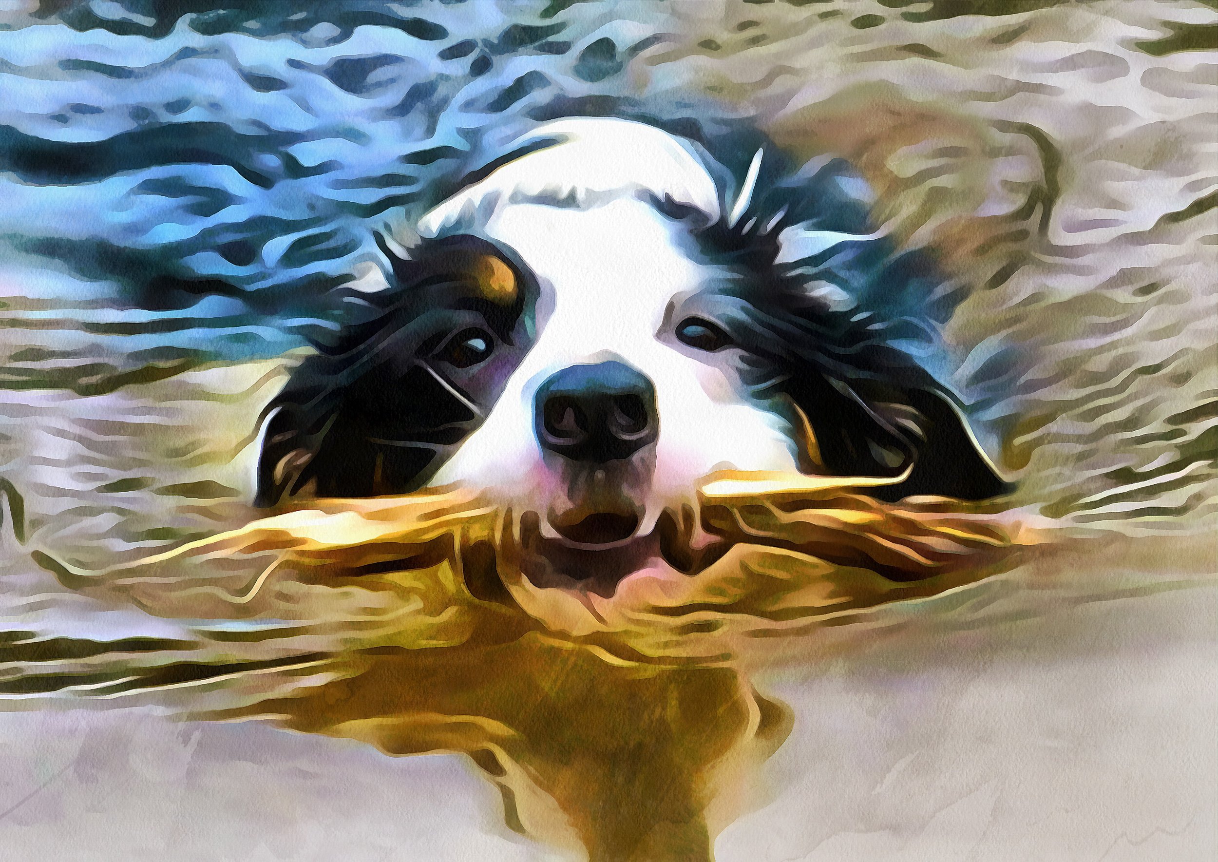 Skye and Water.jpg