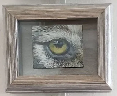 wolf eye.jpg