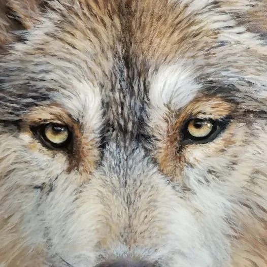 lobo.jpg