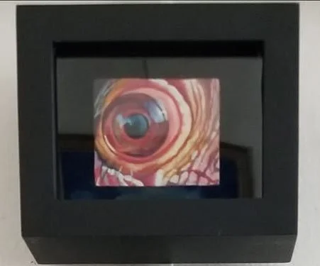 CA Condor eye.jpg
