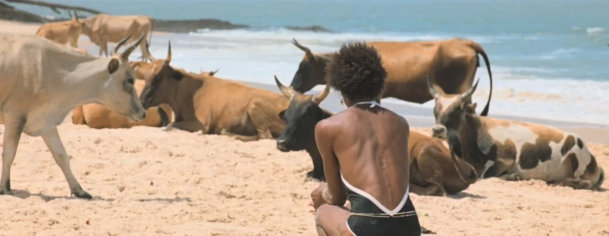 NYFF: “I Only Rest in the Storm” is a Neocolonialist Epic
