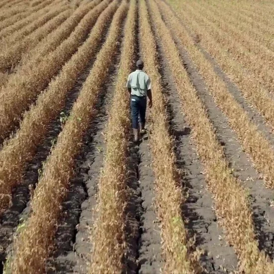 Tribeca: “Harvest” Reaps and Sows Love