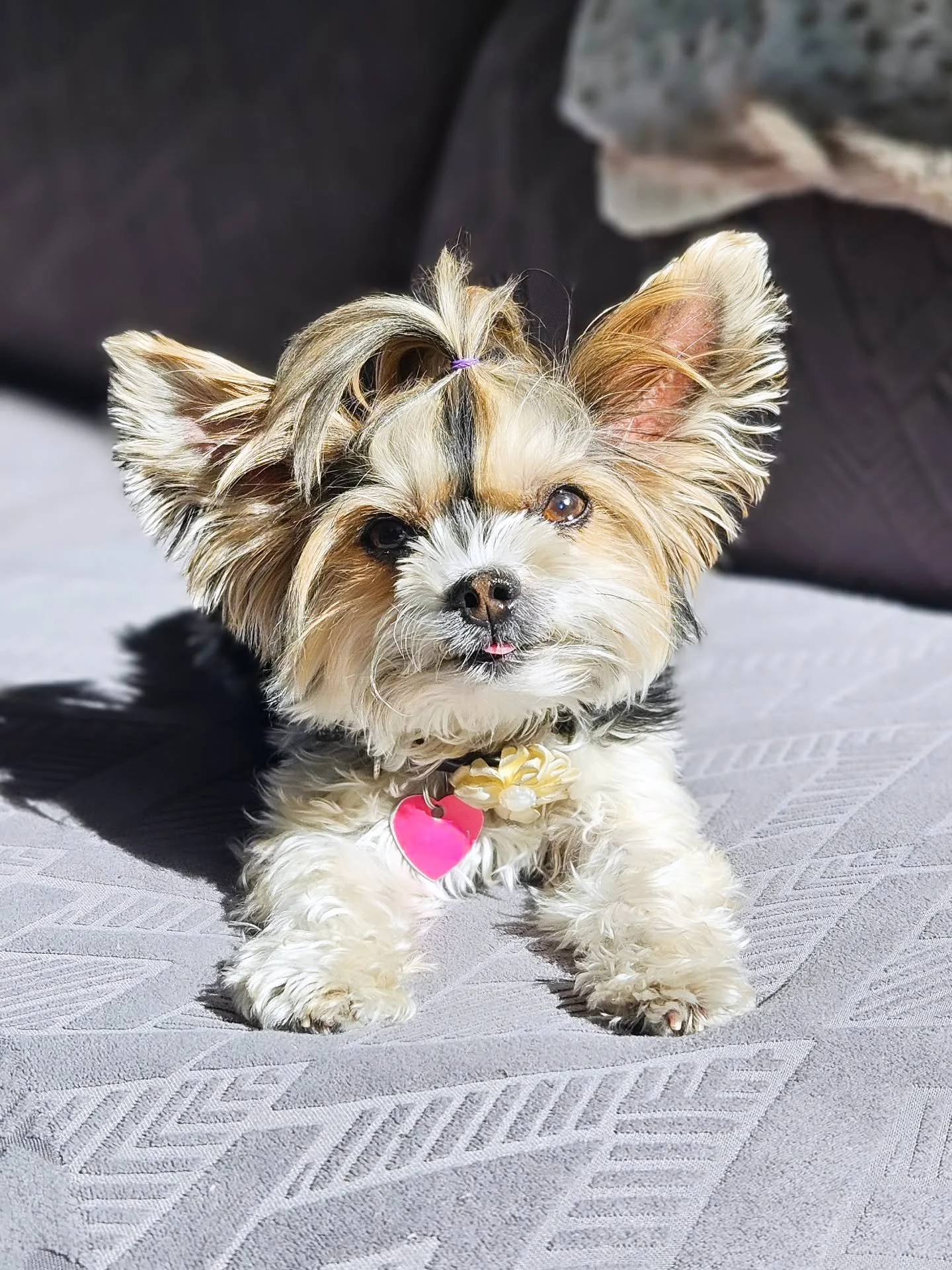 A most precious little Sera ☺️