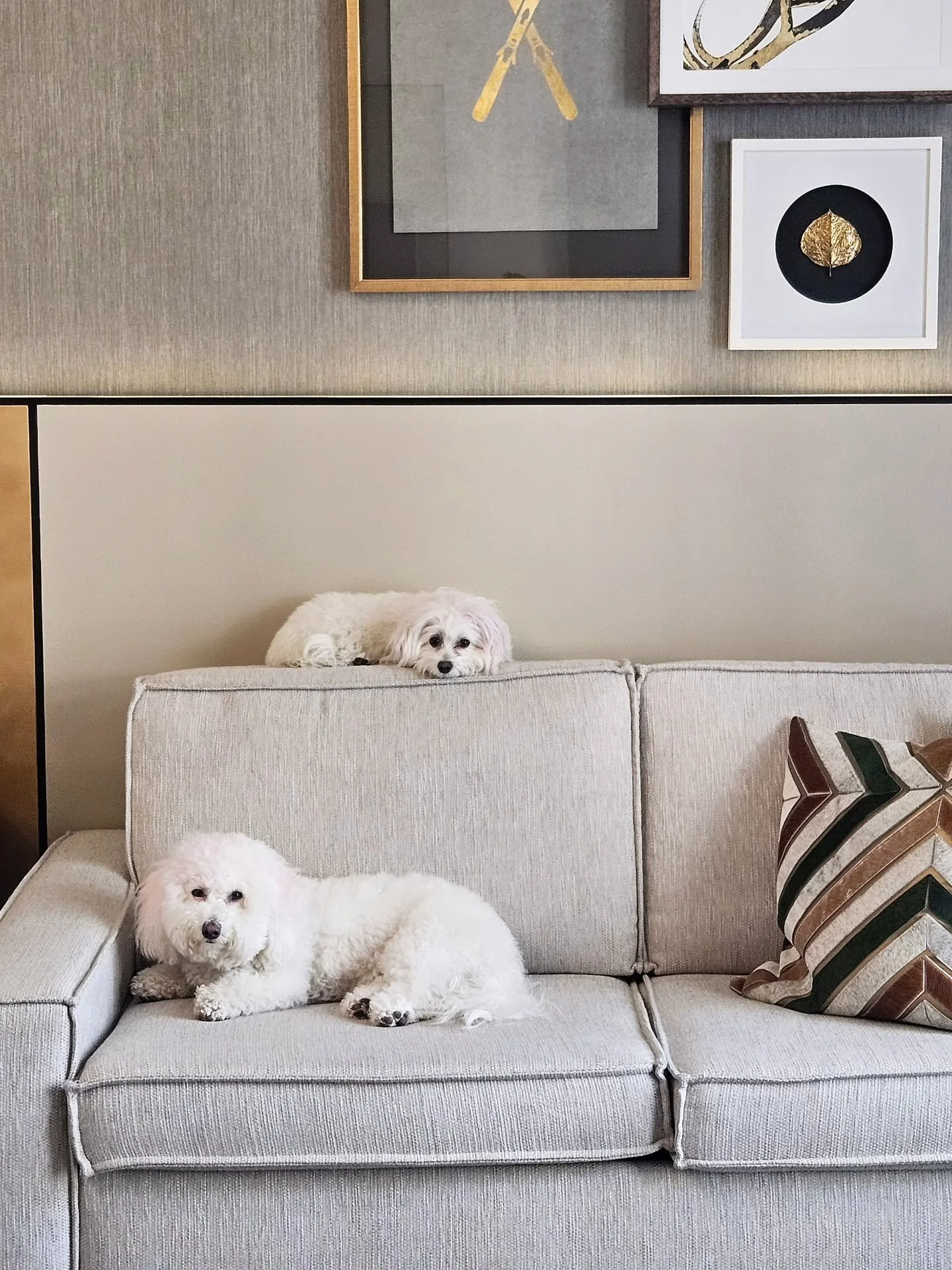 Hotel sits during Thanksgiving weekend with THE cutest little snuggle bugs