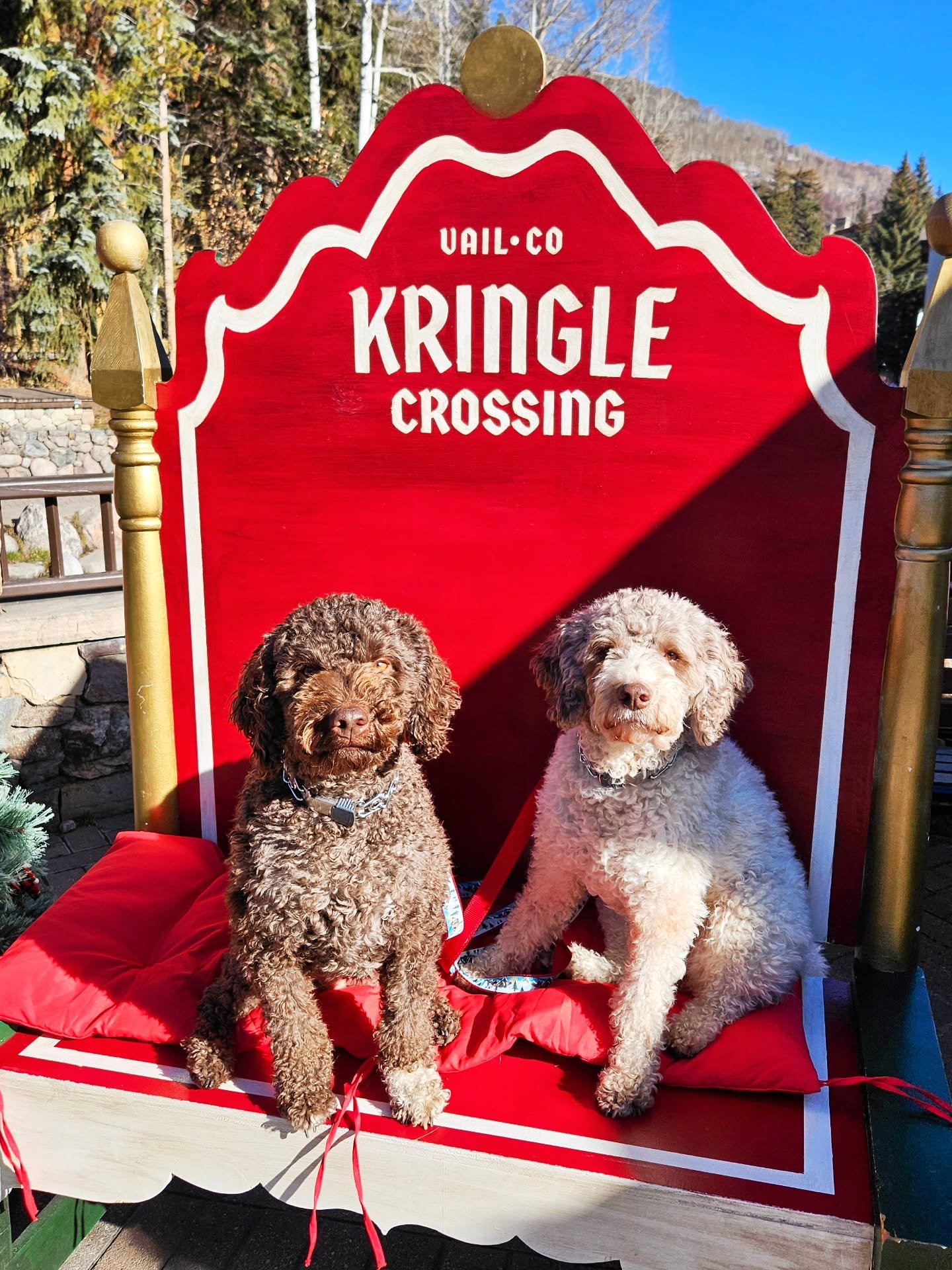 Dessi and Lussi wishing you some happy holidays!!