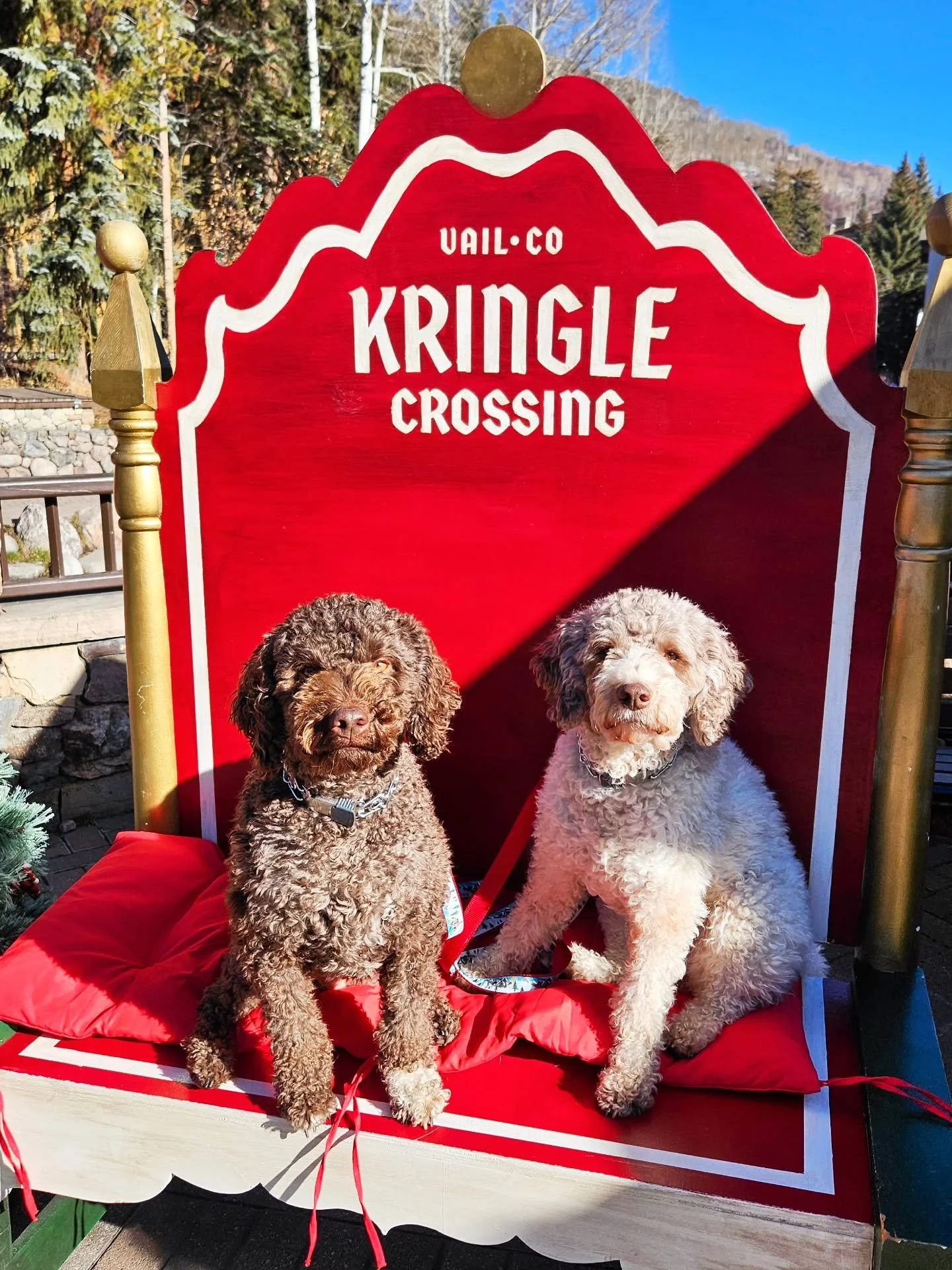 Dessi and Lussi wishing you some happy holidays!!