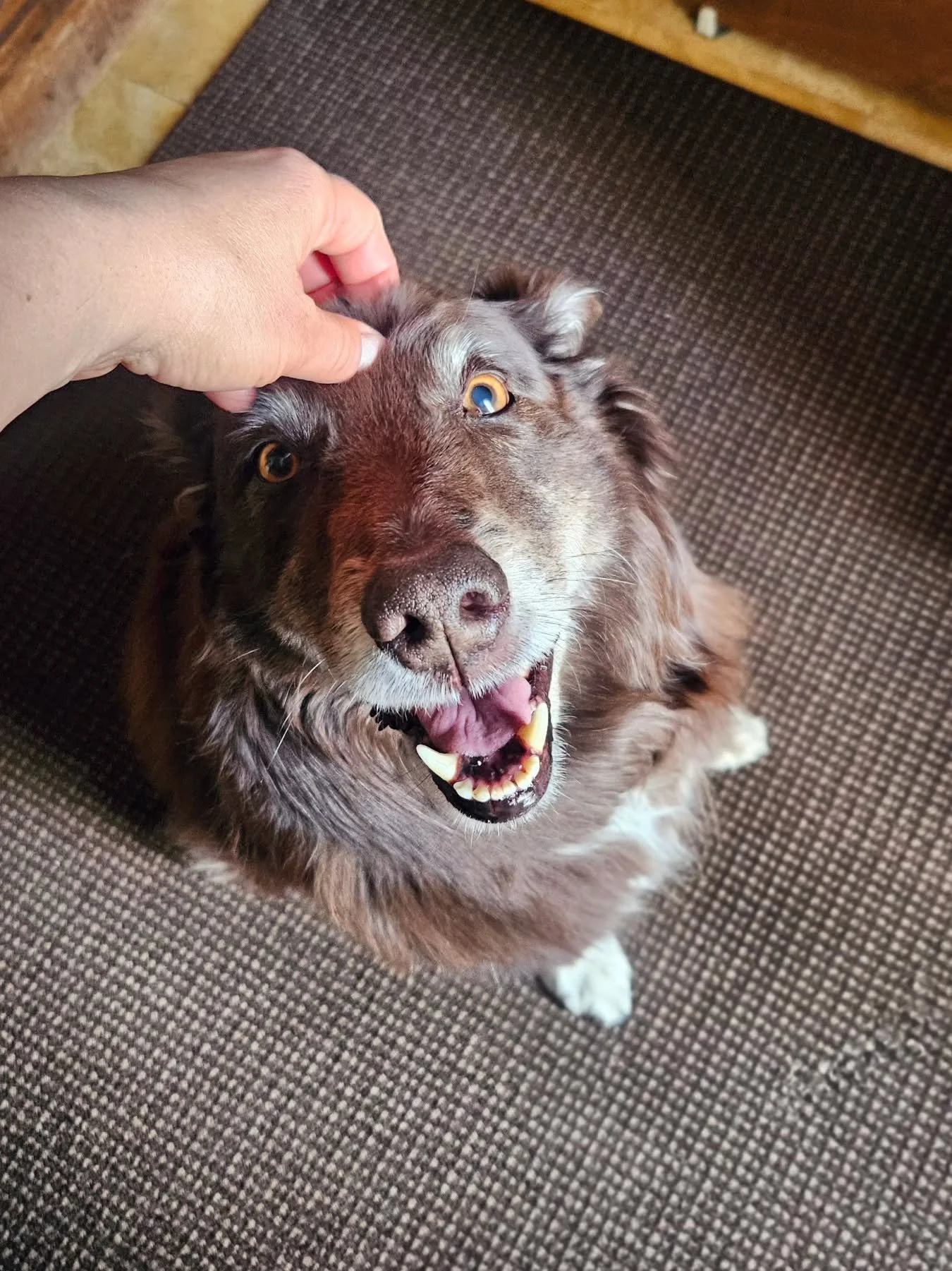 A satisfied customer!