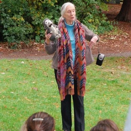🌿 Honoring Dr. Jane Goodall 🌿
We are deeply saddened by the passing of Dr. Jane Goodall, whose life&rsquo;s work forever changed the way we understand and care for our planet. Our school was honored to welcome Dr. Goodall, who inspired our students