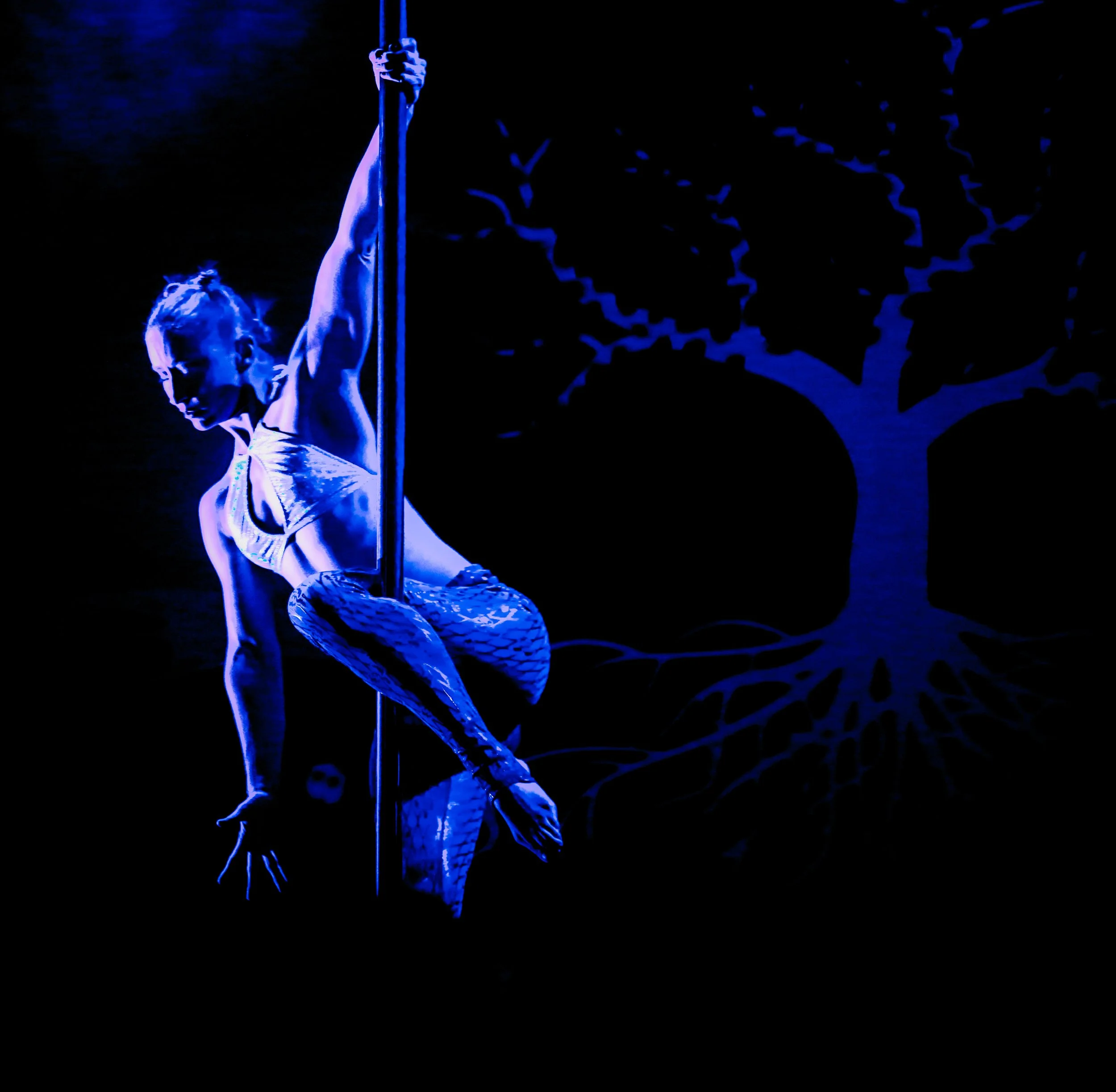 DTV ATOUCHED-072.jpg