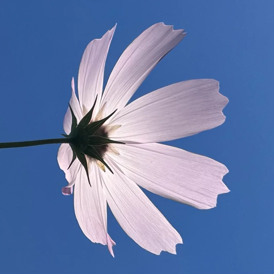 Introduction to Nonviolent Communication