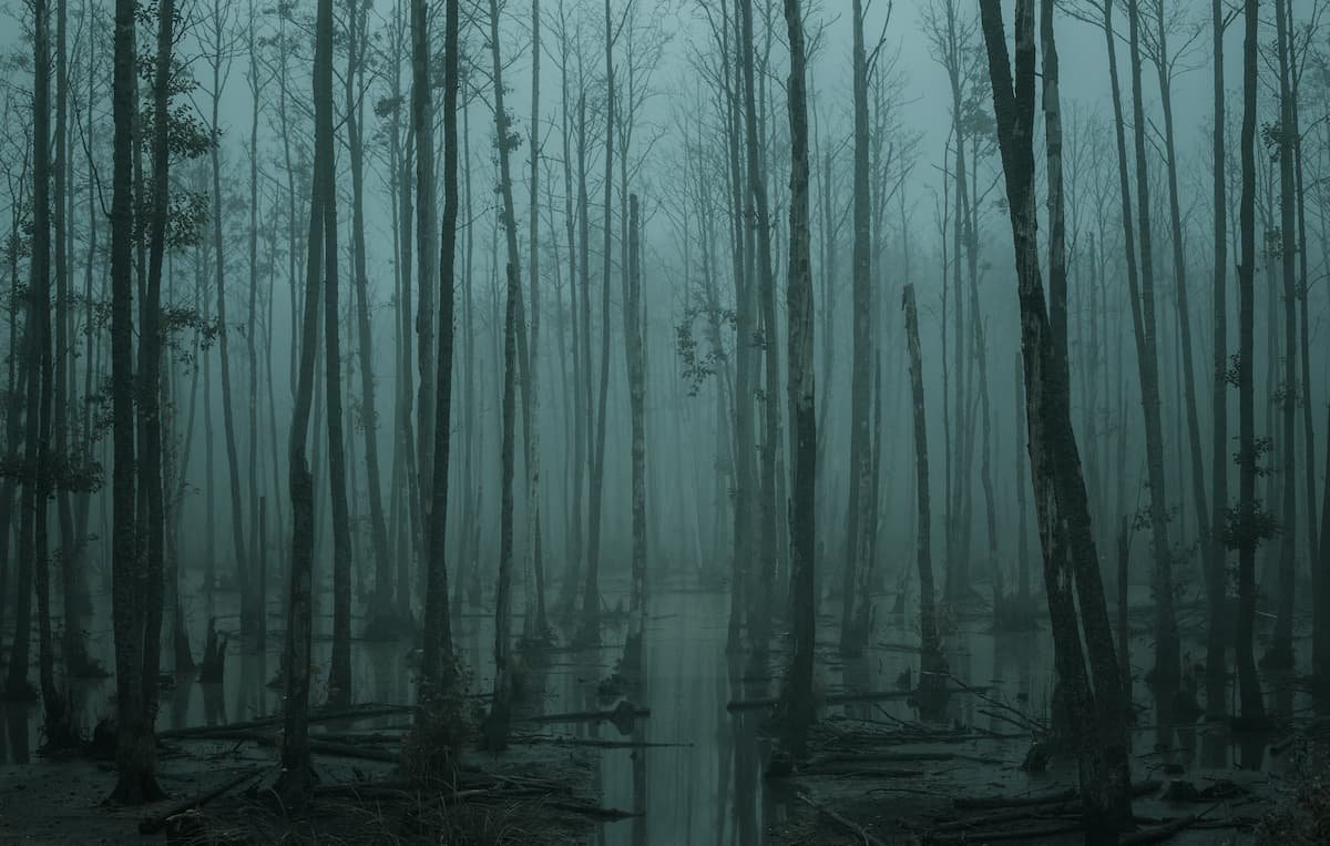 screaming swamp.jpg
