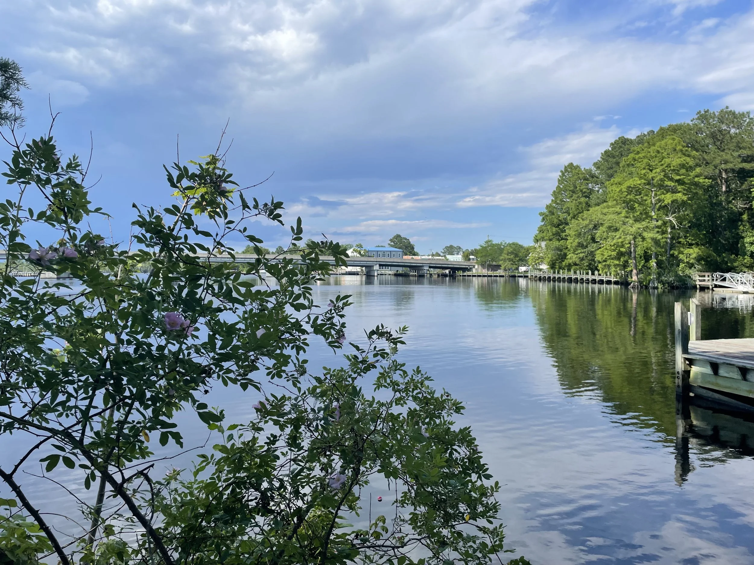 view of Scuppernong river with blooming trees and riverwalk
