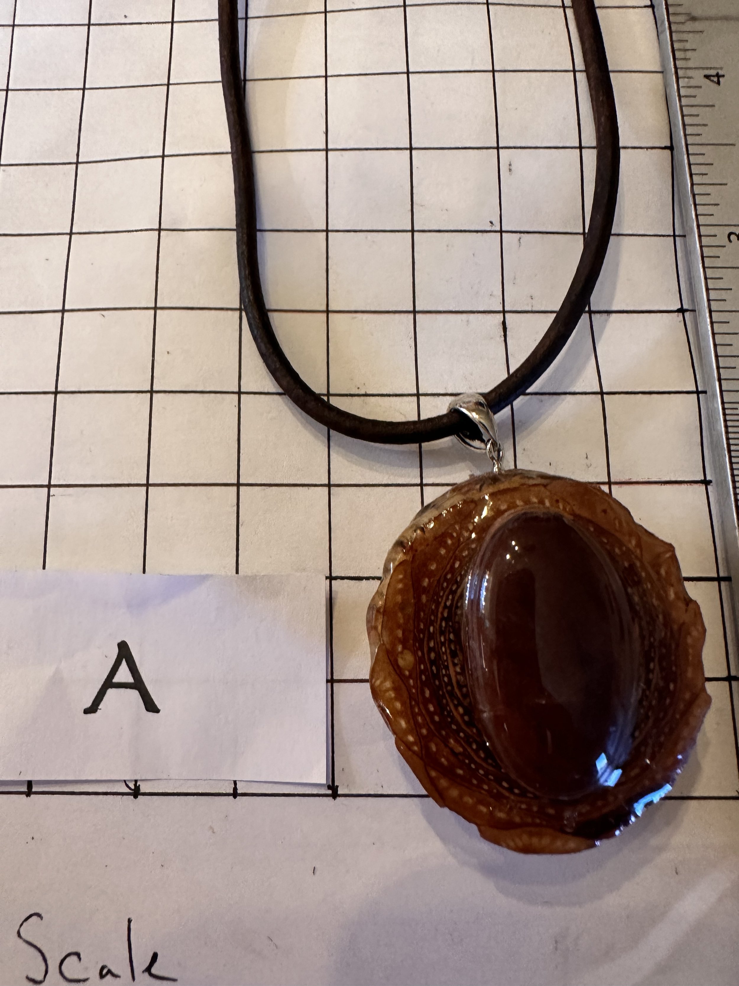 Medallion Carnelian Gemstone