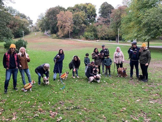 Celebrating the local dogs for a Halloween/Birthday Party at Cassels Park.