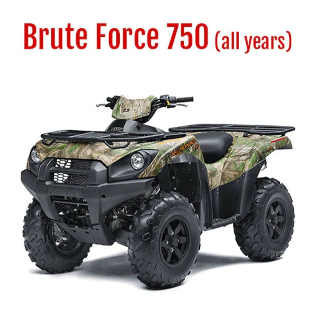 brute-force-750-primary-clutch-3.jpg