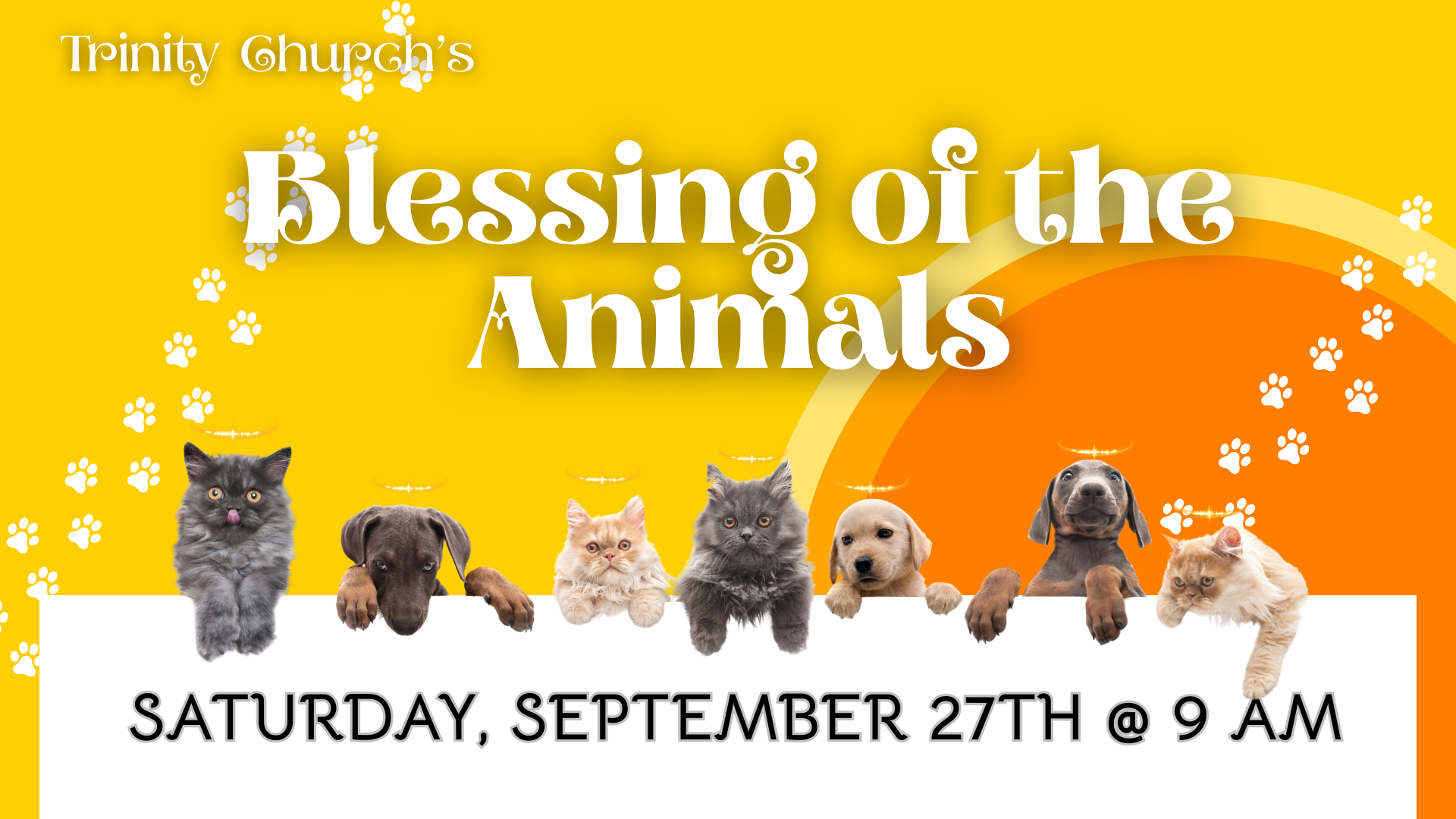 Blessing of the Animals
