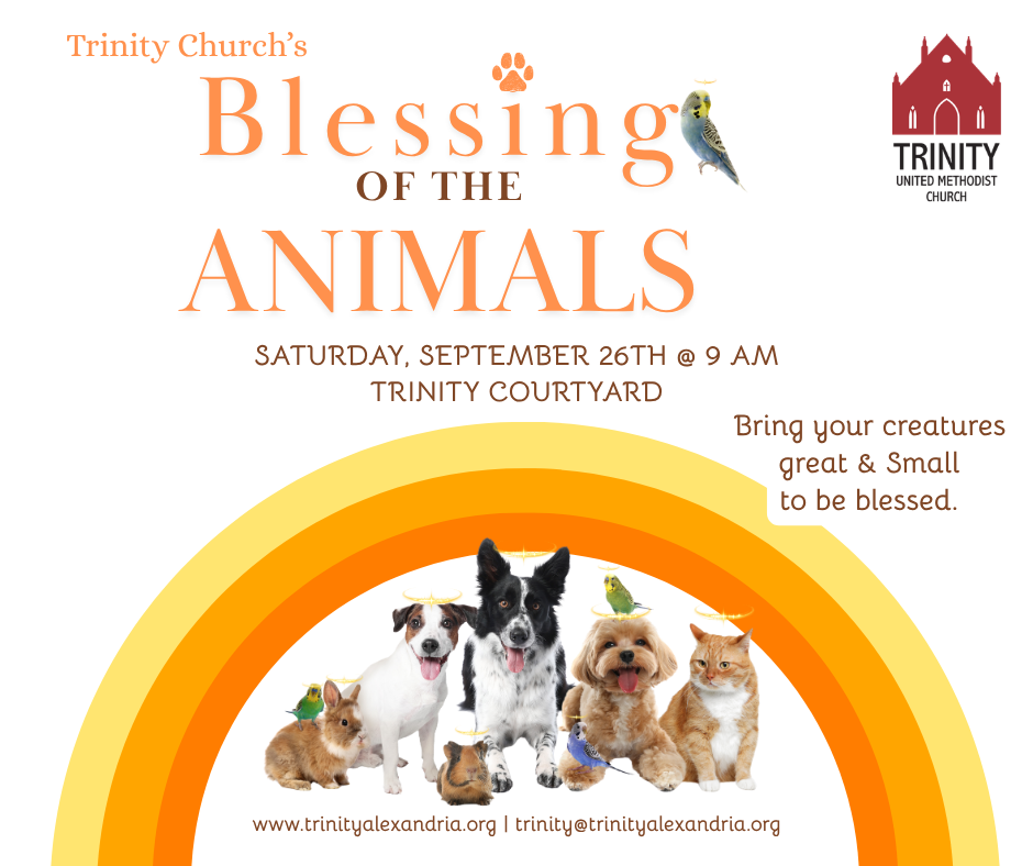 Blessing of the Animals