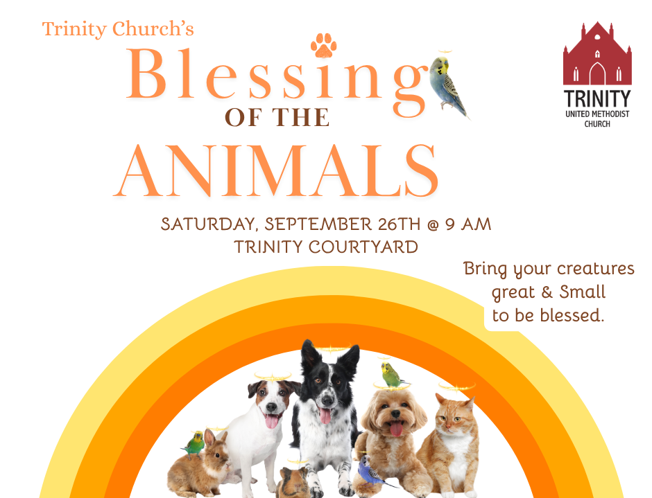 Blessing of the Animals