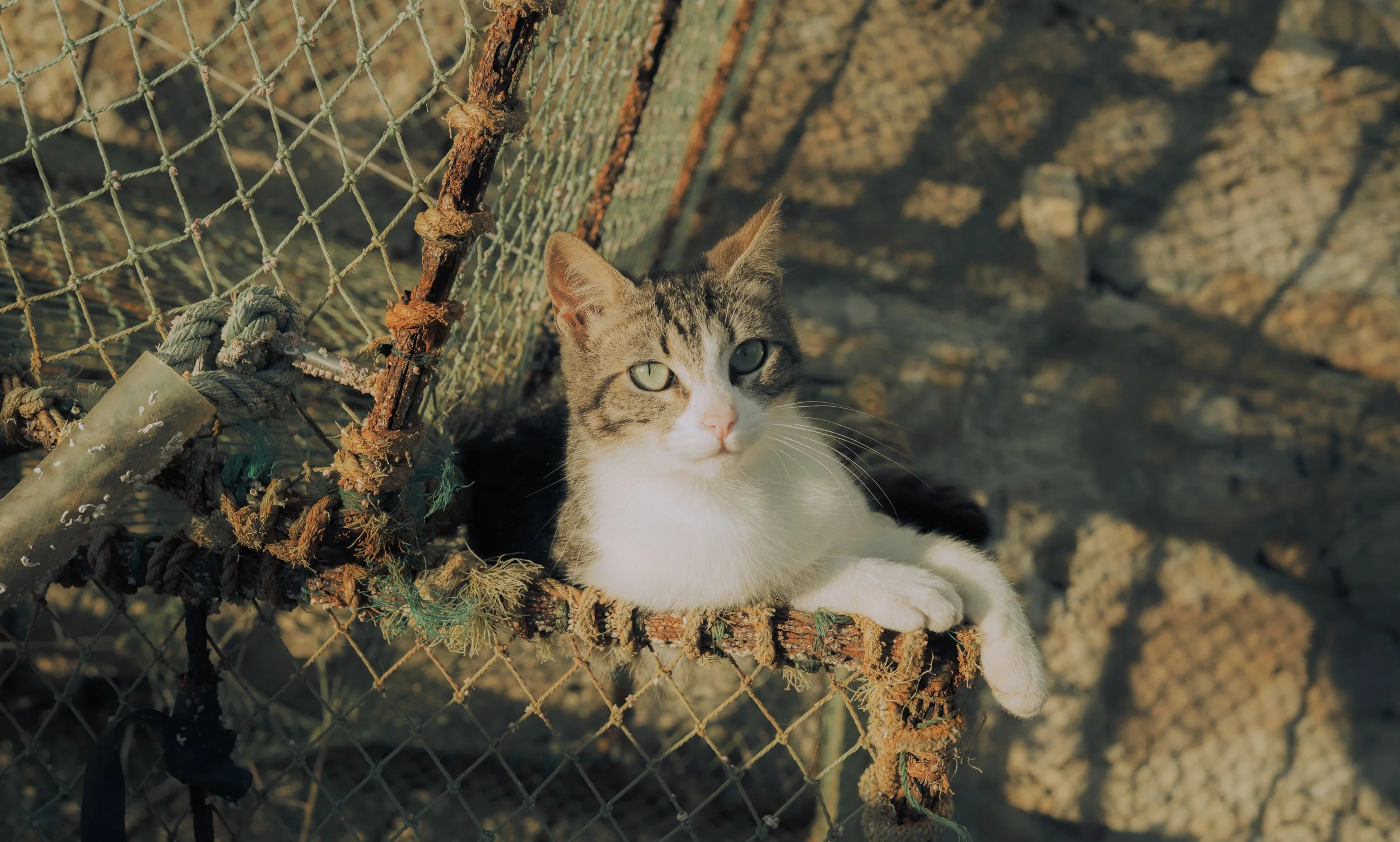 DSC_3638.jpg